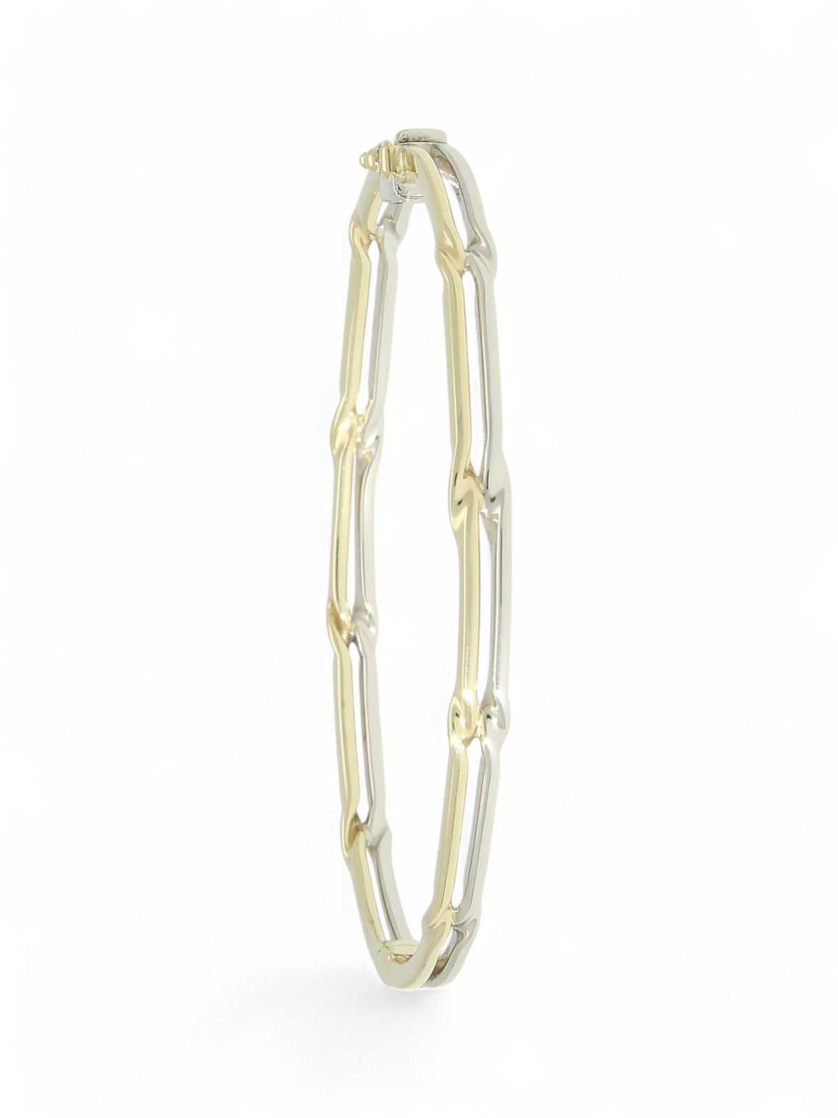 Two Row Twist Bangle in 9ct Yellow & White Gold