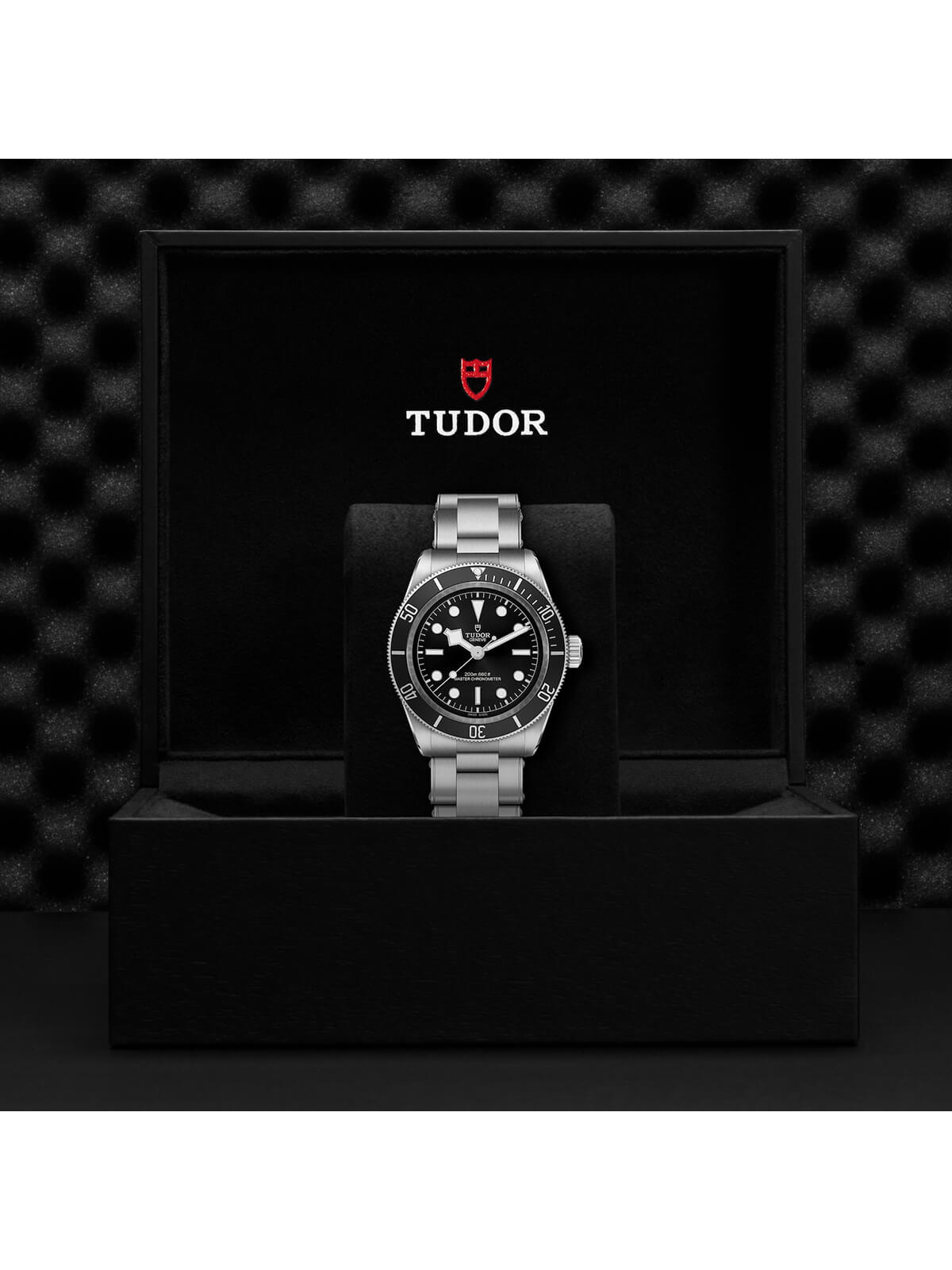 TUDOR Black Bay Watch 41mm M7941A1A0NU-0001