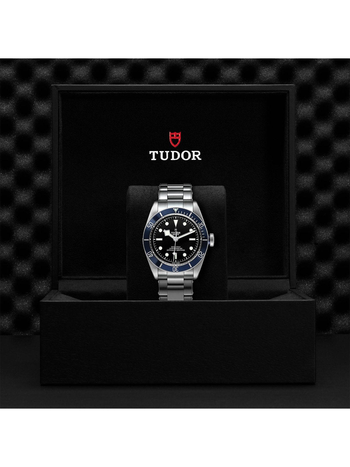 TUDOR Black Bay Gents Watch 41mm M79230B-0008