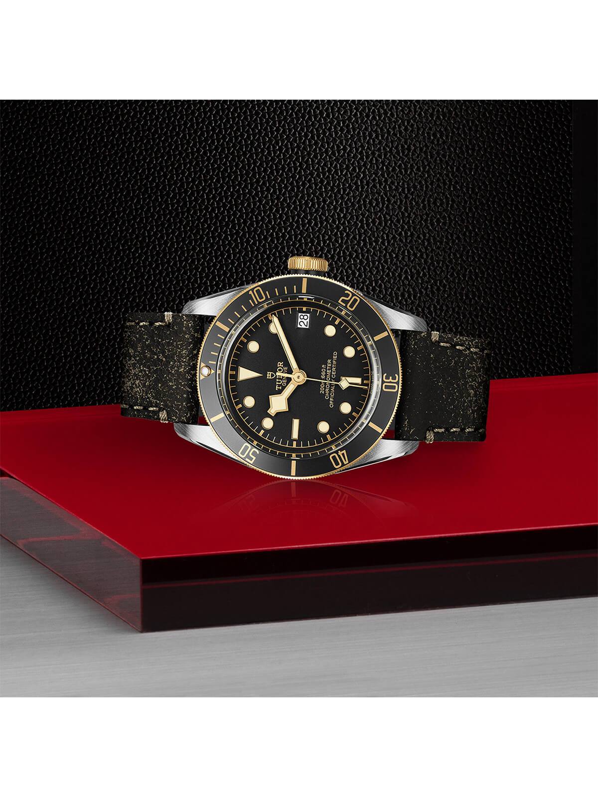 TUDOR Black Bay S&G Watch 41mm M79733N-0007