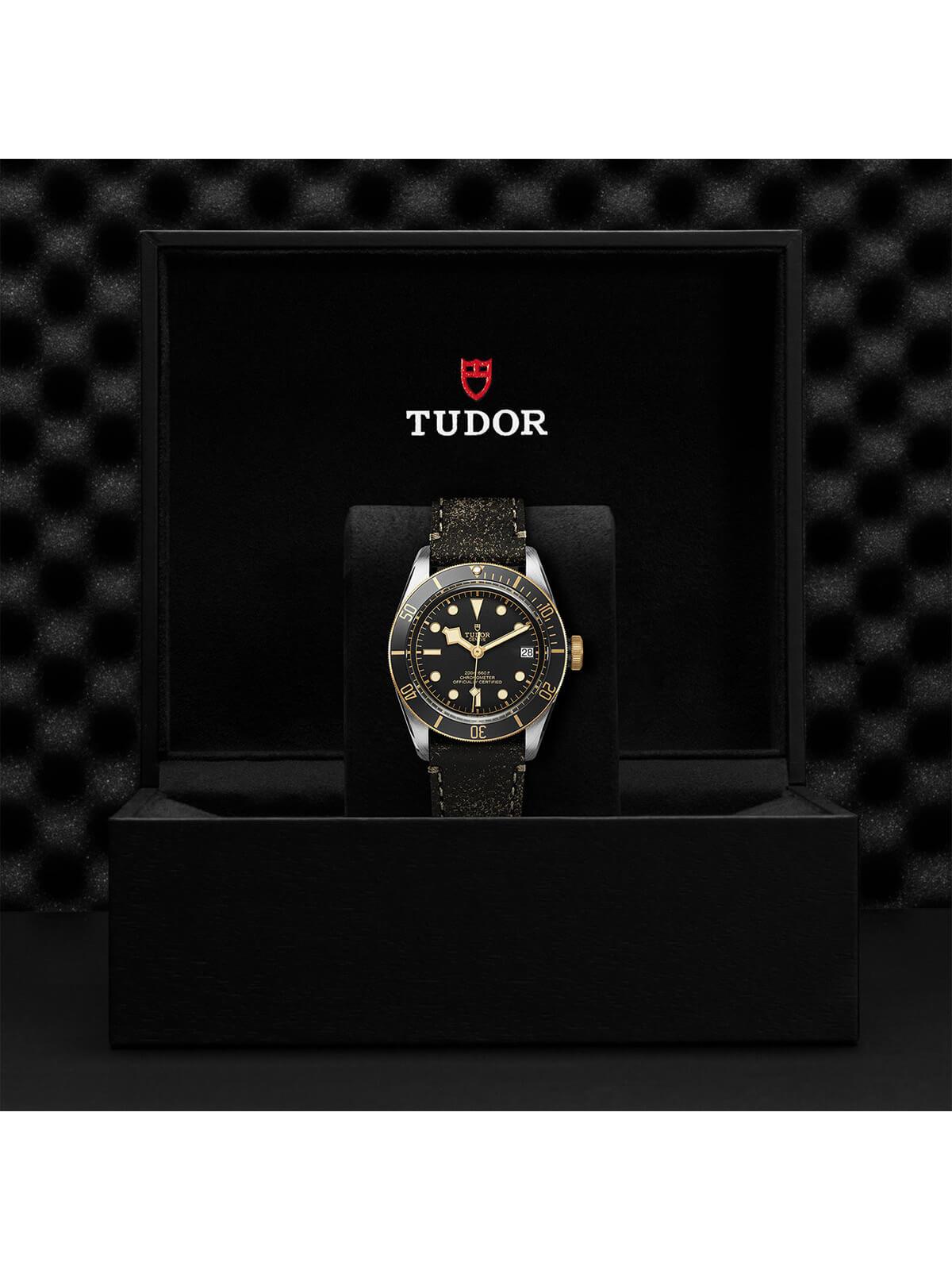 TUDOR Black Bay S&G Watch 41mm M79733N-0007