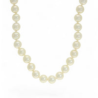 Single Row Cultured Pearl Necklace in 9ct Yellow Gold