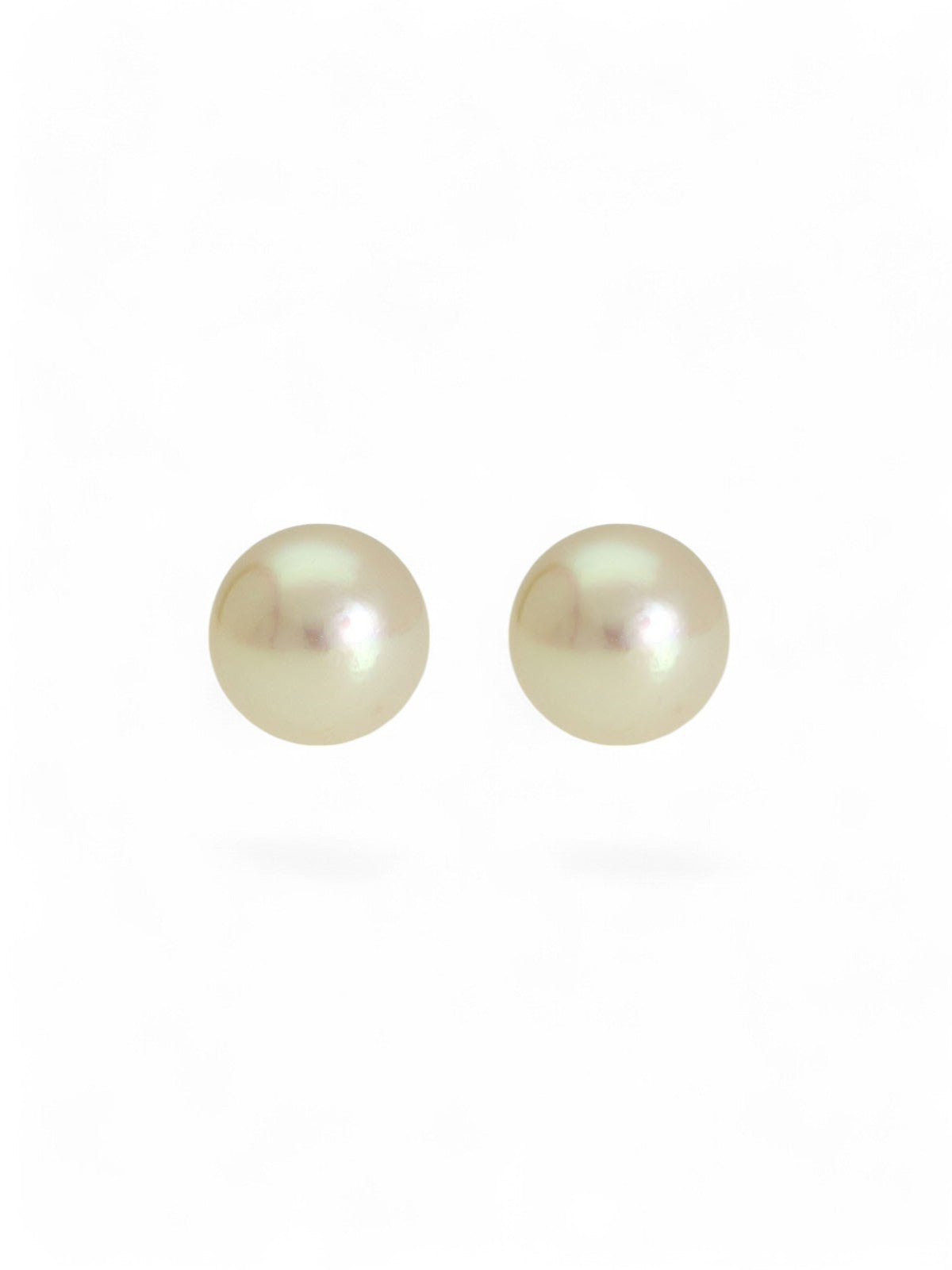 White Cultured Pearl Stud Earrings 5.5mm in 9ct Yellow Gold