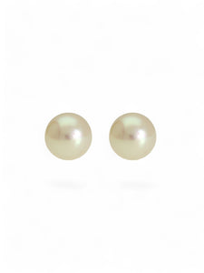 White Cultured Pearl Stud Earrings 5.5mm in 9ct Yellow Gold