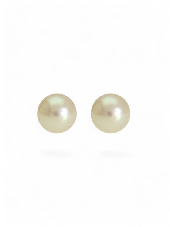 White Cultured Pearl Stud Earrings 5.5mm in 9ct Yellow Gold