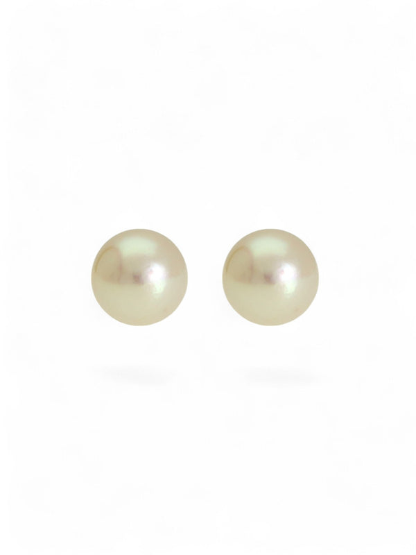 White Cultured Pearl Stud Earrings 5.5mm in 9ct Yellow Gold