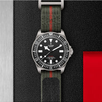 TUDOR Pelagos FXD Watch 42mm M25717N-0001