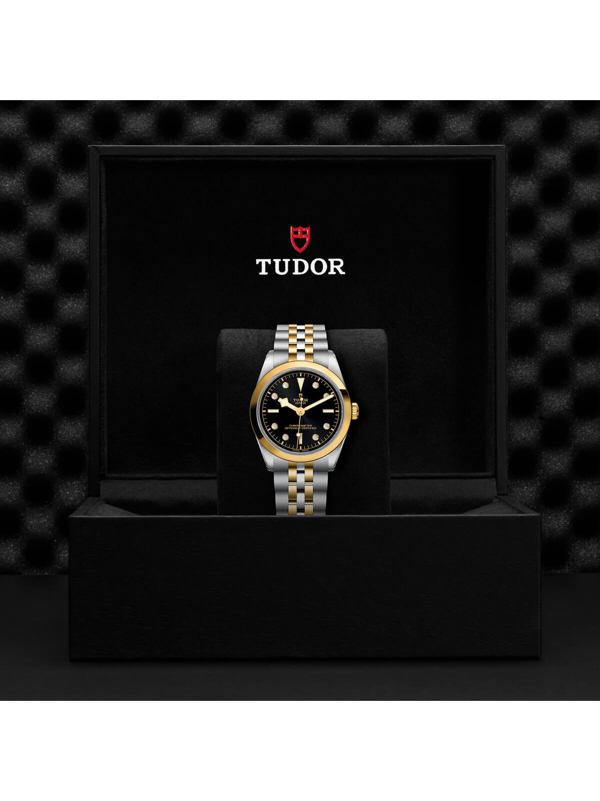 TUDOR Black Bay S&G 36mm M79643-0006