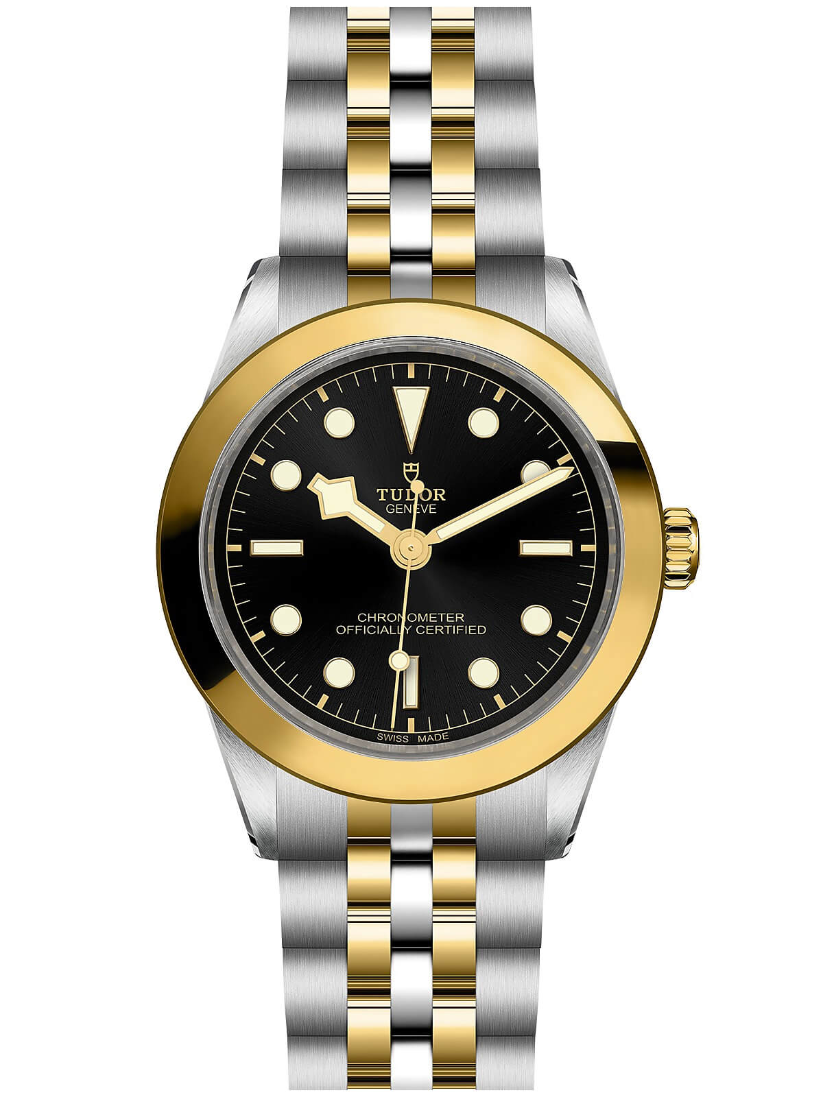 TUDOR Black Bay S&G 39mm M79663-0001