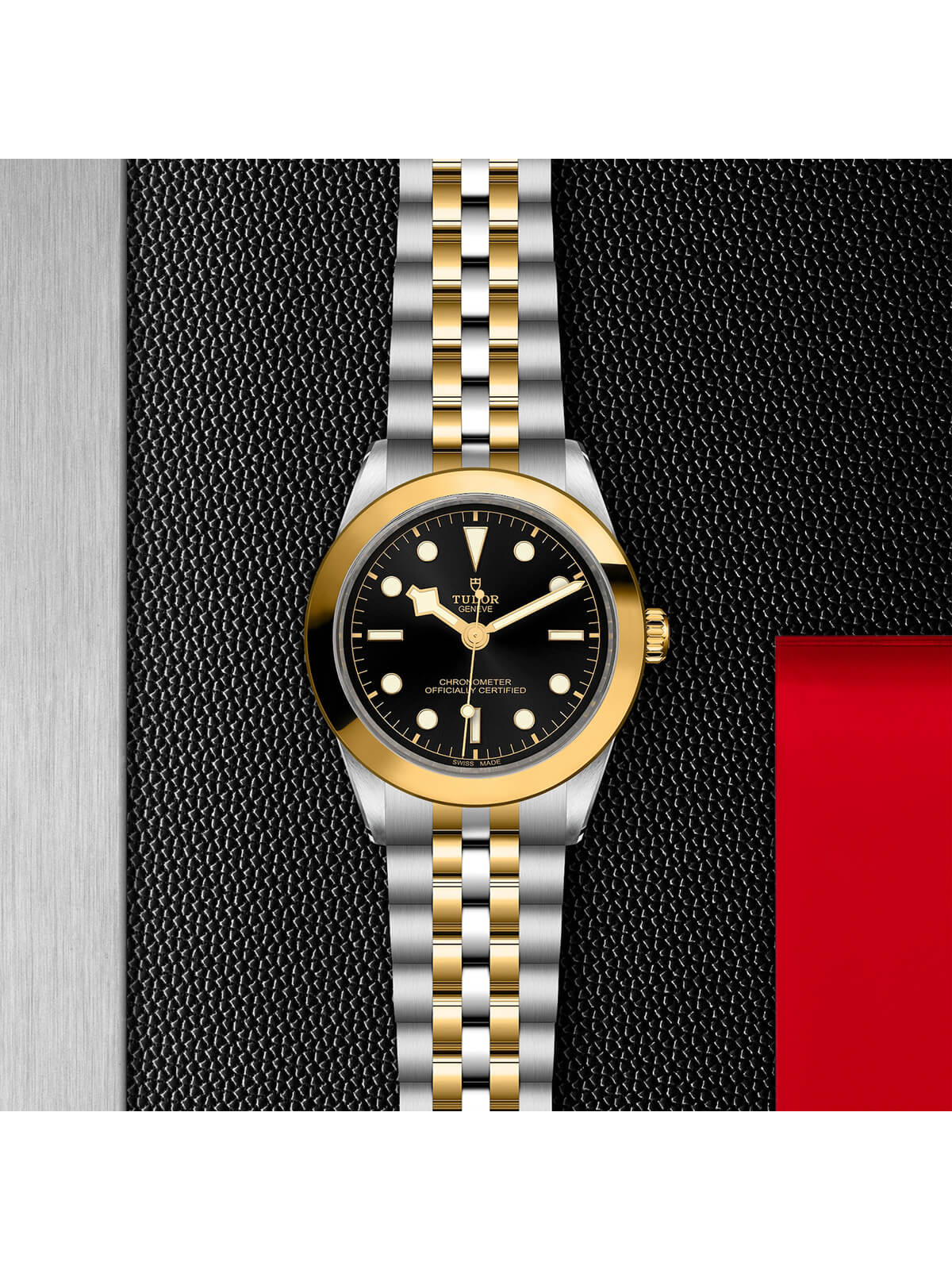 TUDOR Black Bay S&G 39mm M79663-0001