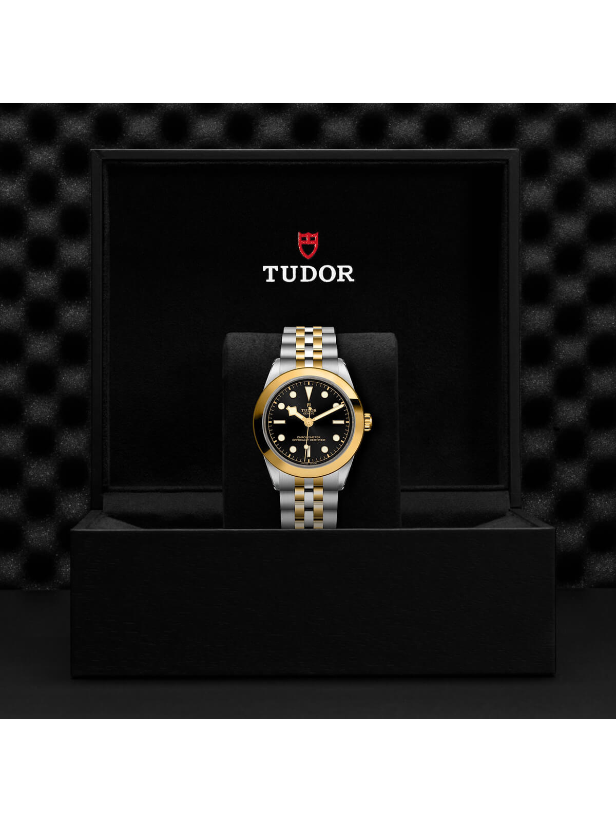 TUDOR Black Bay S&G 39mm M79663-0001