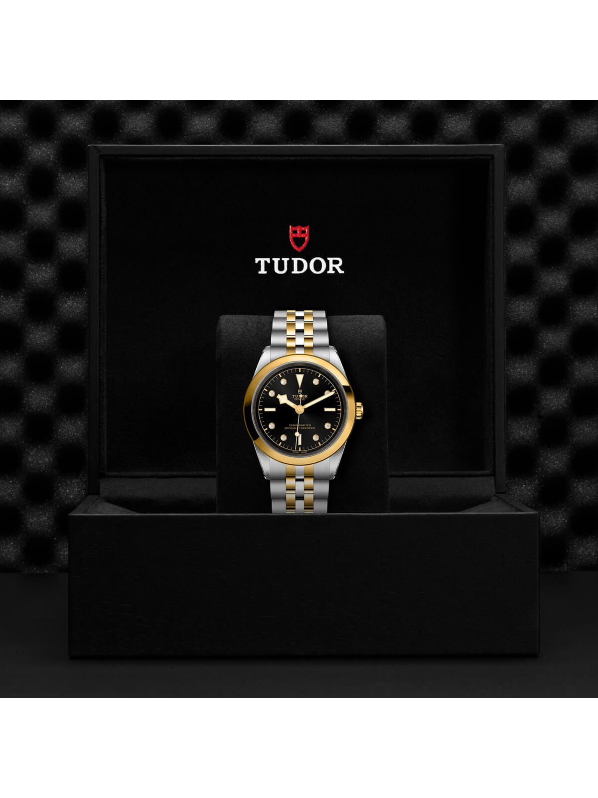 TUDOR Black Bay S&G 41mm M79683-0006