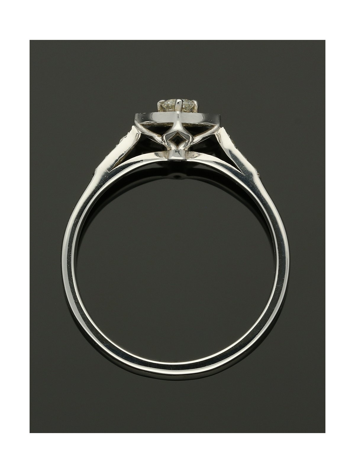 Diamond Cluster Ring 0.24ct Round Brilliant Cut in 9ct White Gold with Diamond Shoulders