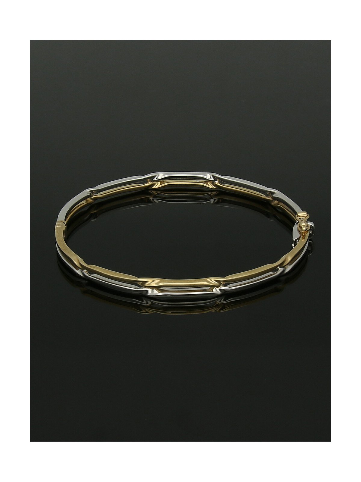Two Row Twist Bangle in 9ct Yellow & White Gold