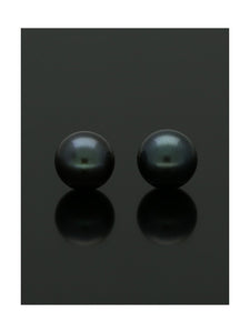 Black Cultured Pearl Stud Earrings 5.5mm in 9ct Yellow Gold
