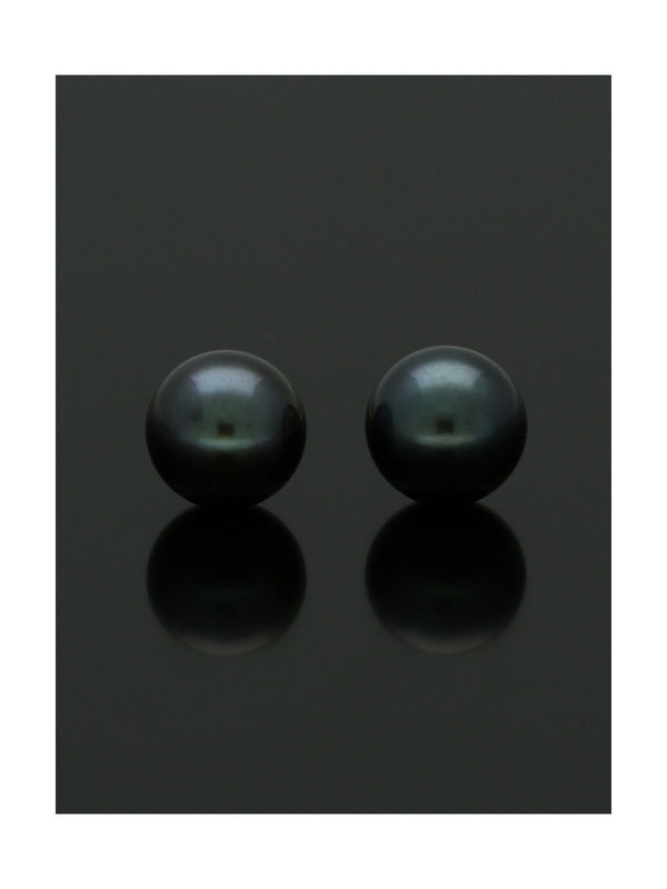 Black Cultured Pearl Stud Earrings 5.5mm in 9ct Yellow Gold