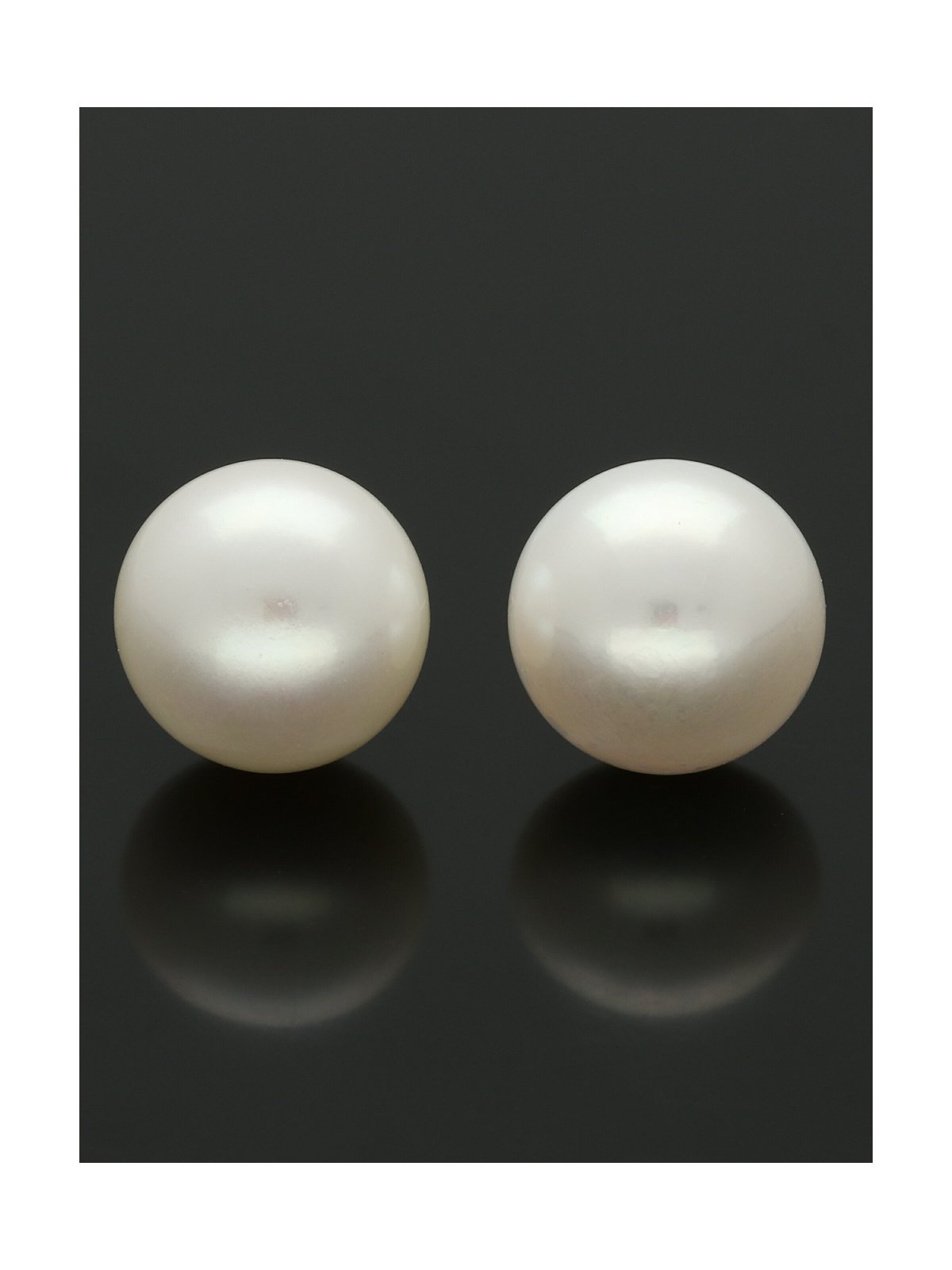 White Freshwater Pearl Button Stud Earrings 12mm in 9ct Yellow Gold