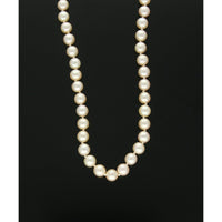 Single Row Cultured Pearl Necklace in 9ct Yellow Gold