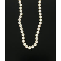 Single Row Cultured Pearl necklace in 9ct Yellow Gold