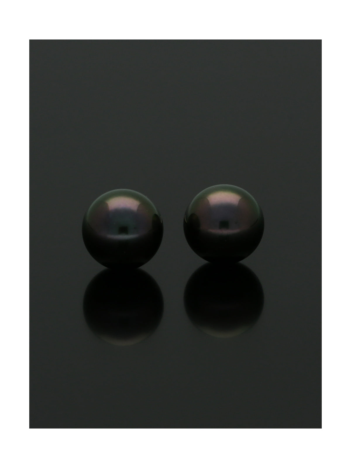 Black Cultured Pearl Stud Earrings 6.5mm in 9ct Yellow Gold