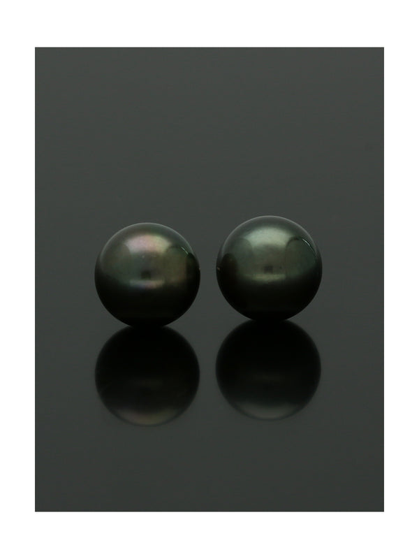 Black Cultured Pearl Stud Earrings 9.5mm in 9ct Yellow Gold
