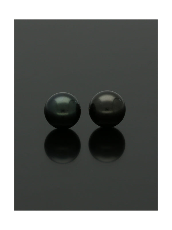 Black Cultured Pearl Stud Earrings 7.5mm in 9ct Yellow Gold