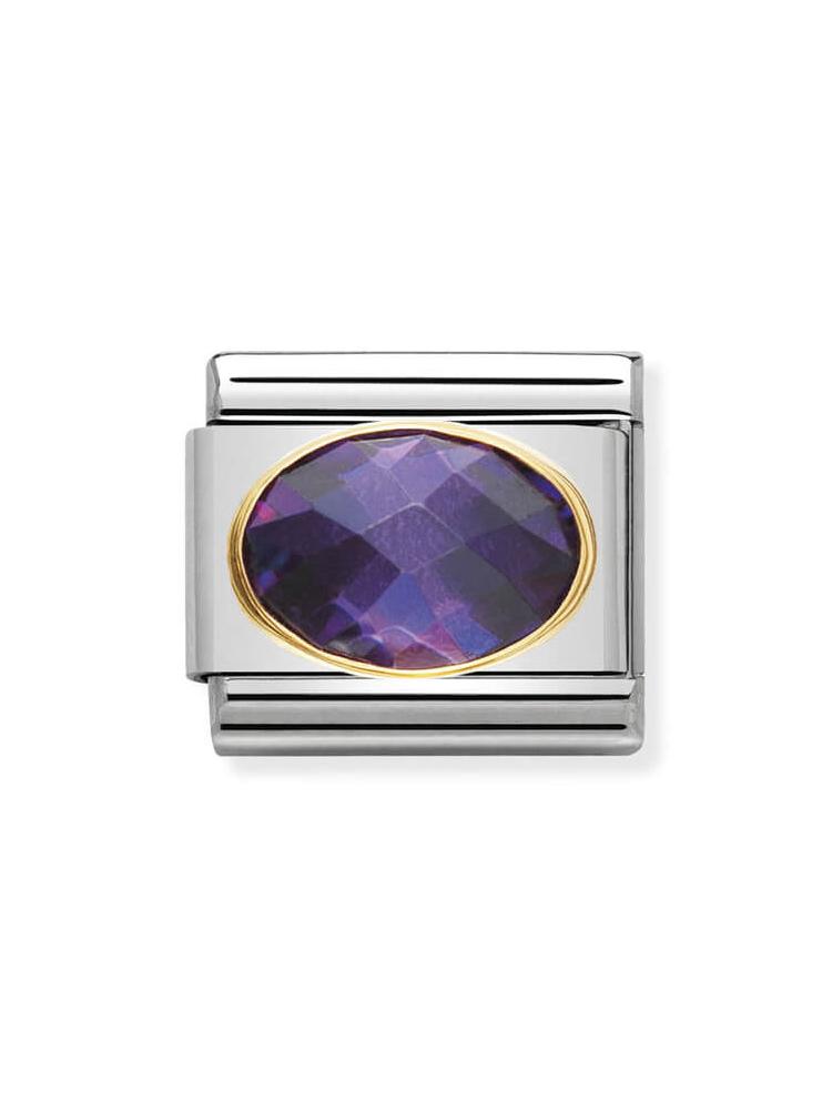 Nomination Classic Purple Faceted Zirconia Charm 030601-001