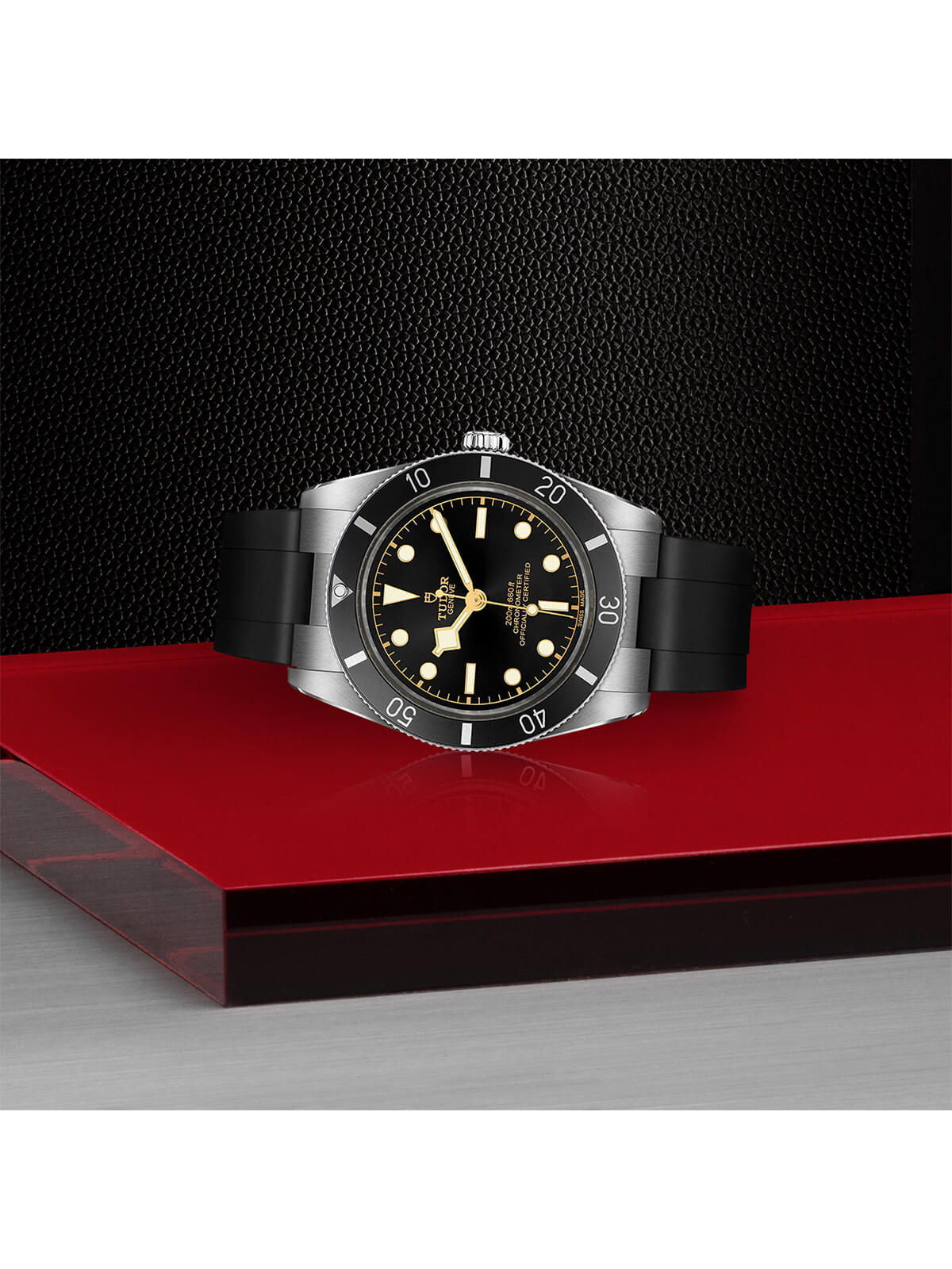 TUDOR Black Bay 54 Watch 37mm M79000N-0002