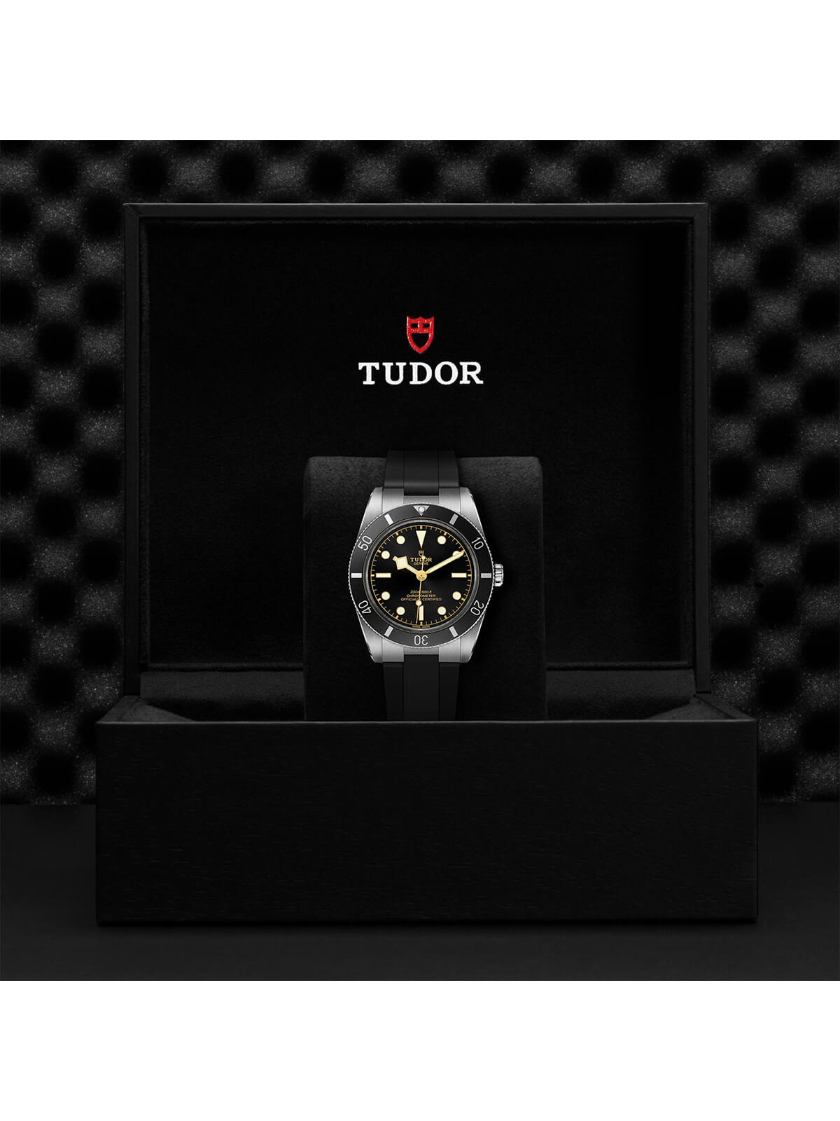 TUDOR Black Bay 54 Watch 37mm M79000N-0002