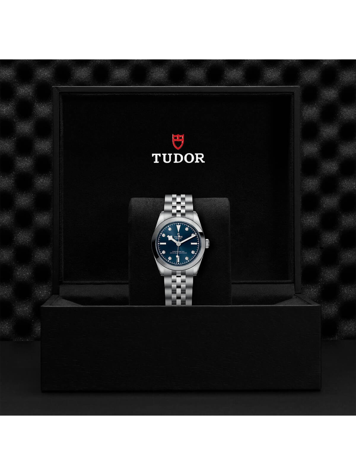 TUDOR Black Bay Watch 31mm M79600-0005