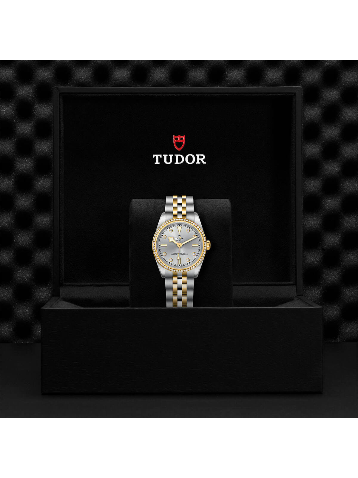 TUDOR Black Bay S&G Watch 31mm M79613-0006