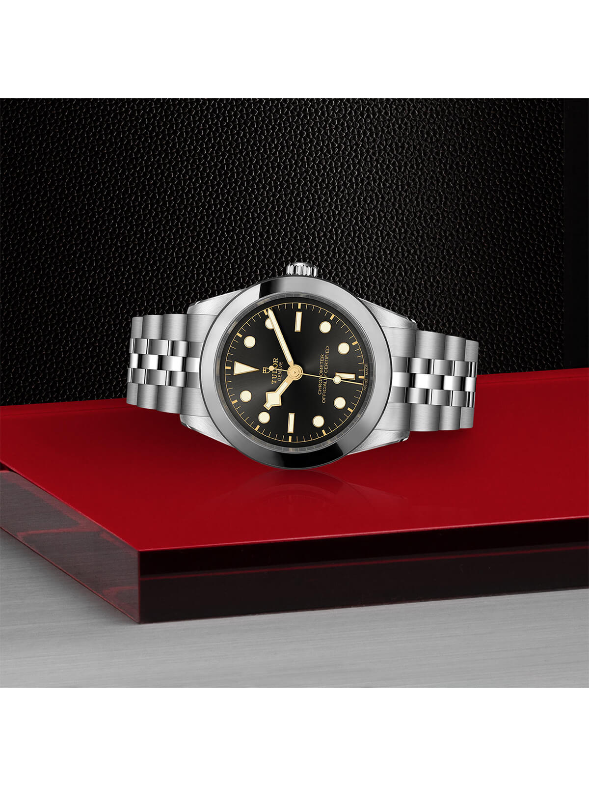 TUDOR Black Bay Watch 39mm M79660-0001