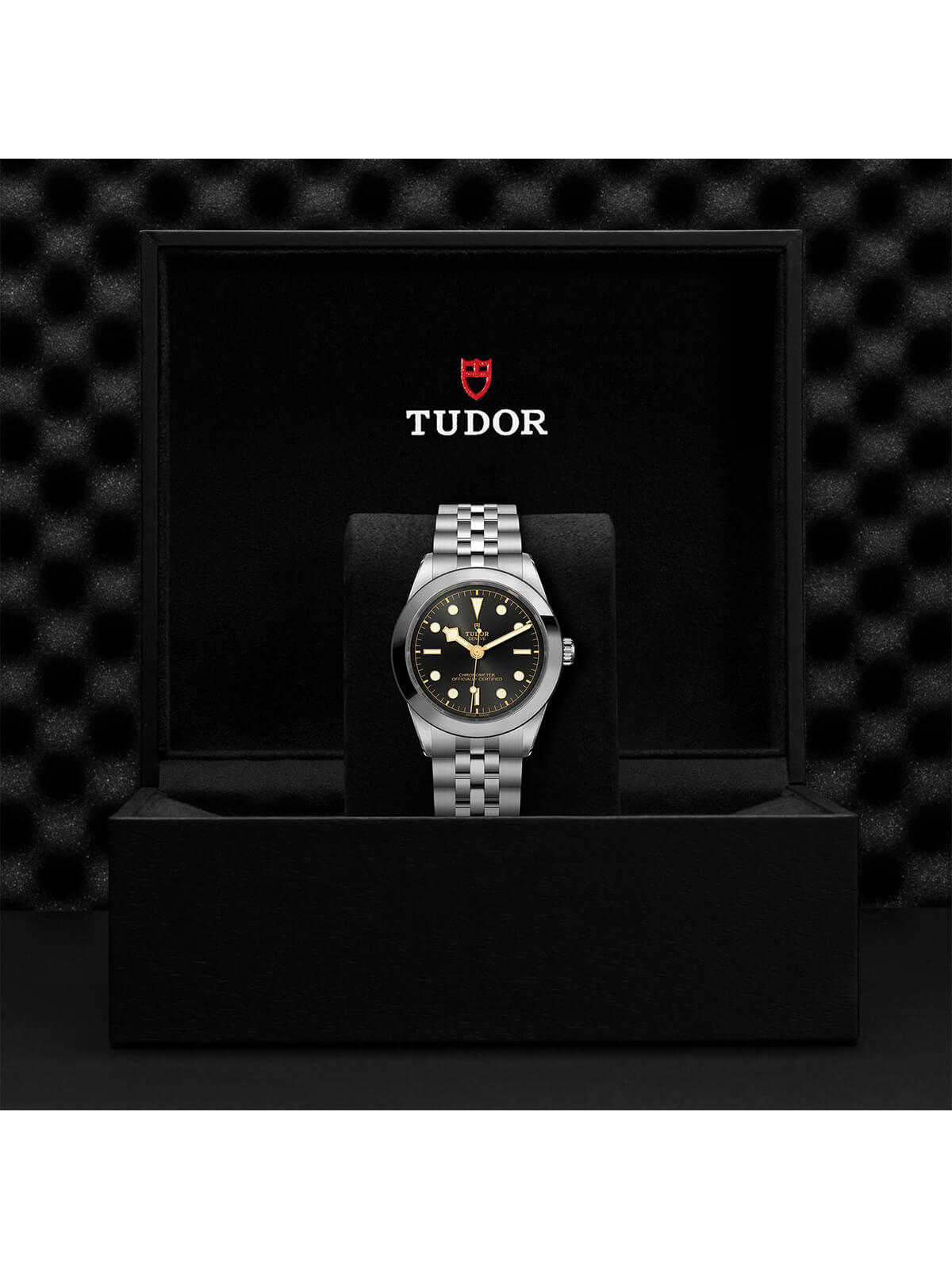 TUDOR Black Bay Watch 39mm M79660-0001