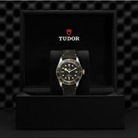 TUDOR Black Bay S&G Watch 41mm M79733N-0007