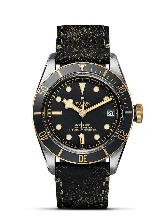 TUDOR Black Bay S&G Watch 41mm M79733N-0007